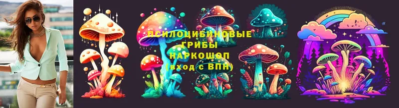 Псилоцибиновые грибы мухоморы  Болхов 