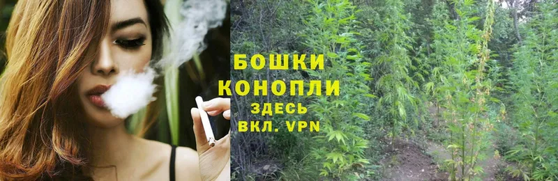 mega онион  Болхов  МАРИХУАНА Ganja  где продают наркотики 